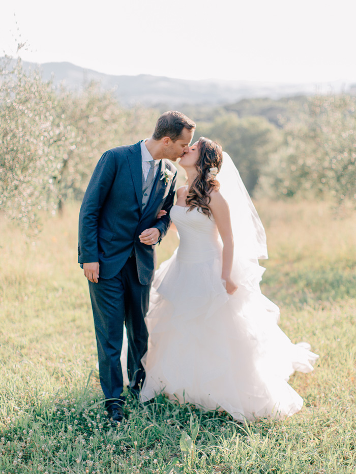 Olive trees in Italy. Destination wedding photographer.